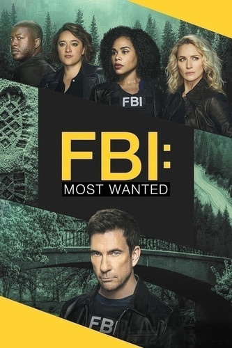 ФБР: Самые разыскиваемые преступники 6 сезон 16 серия [Смотреть Онлайн]